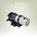 Electric high-pressure micro gear pump